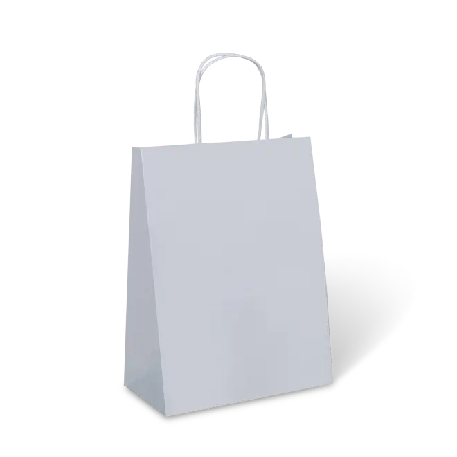 [PTH10W] PTH #10 WHITE PETITE BAG 275x205x110mm (C285S0001)