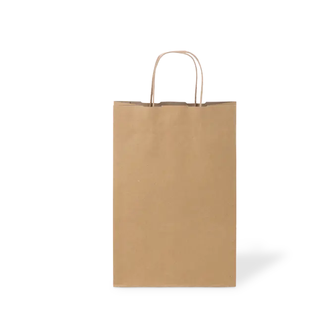 [PTH16BR] PTH #16 SMALL NATURAL (BROWN) BAG 355X240X120mm (C180S0010)