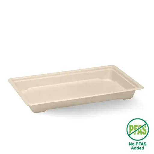 [BIOBSTLARGE] LARGE BIOCANE SUSHI TRAY 214X134X24 600/100 B-ST-LARGE