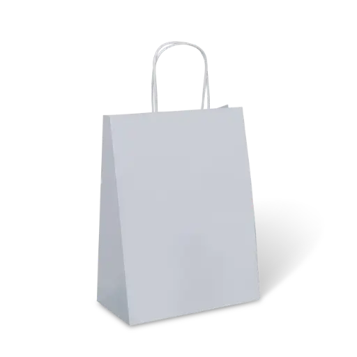 [PTH10W] PTH #10 WHITE PETITE BAG 275x205x110mm (C285S0001)